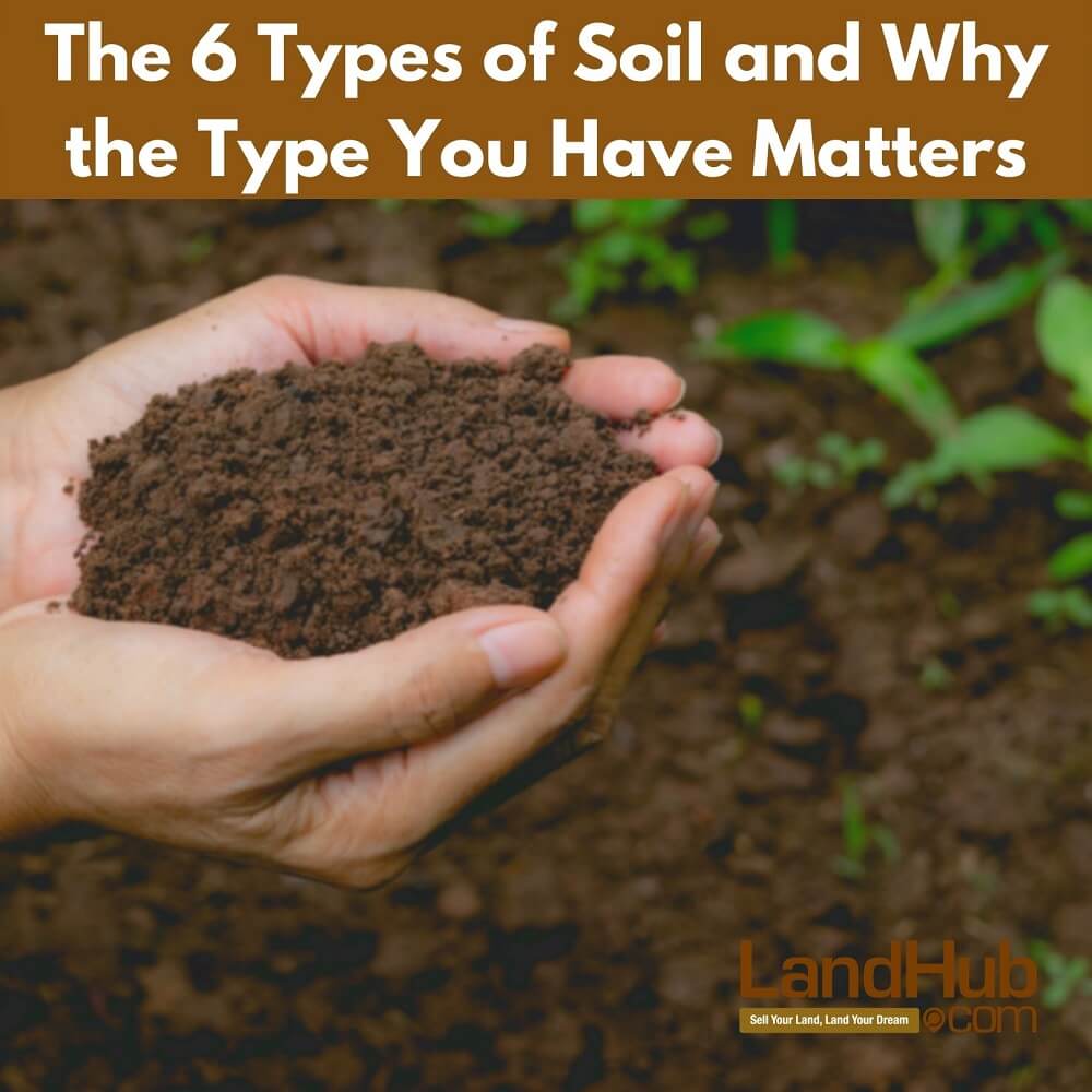 The 6 Types of Soil and Why the Type You Have Matters | LandHub