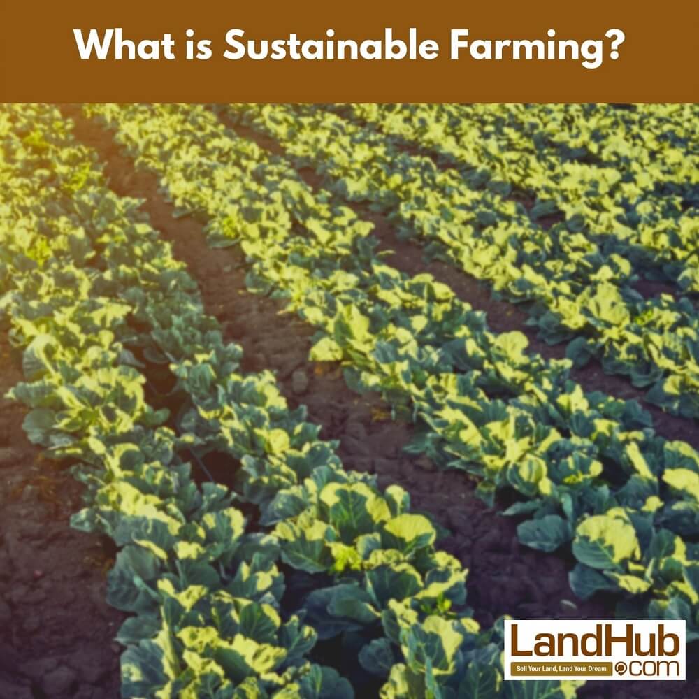 What is Sustainable Farming? | LandHub