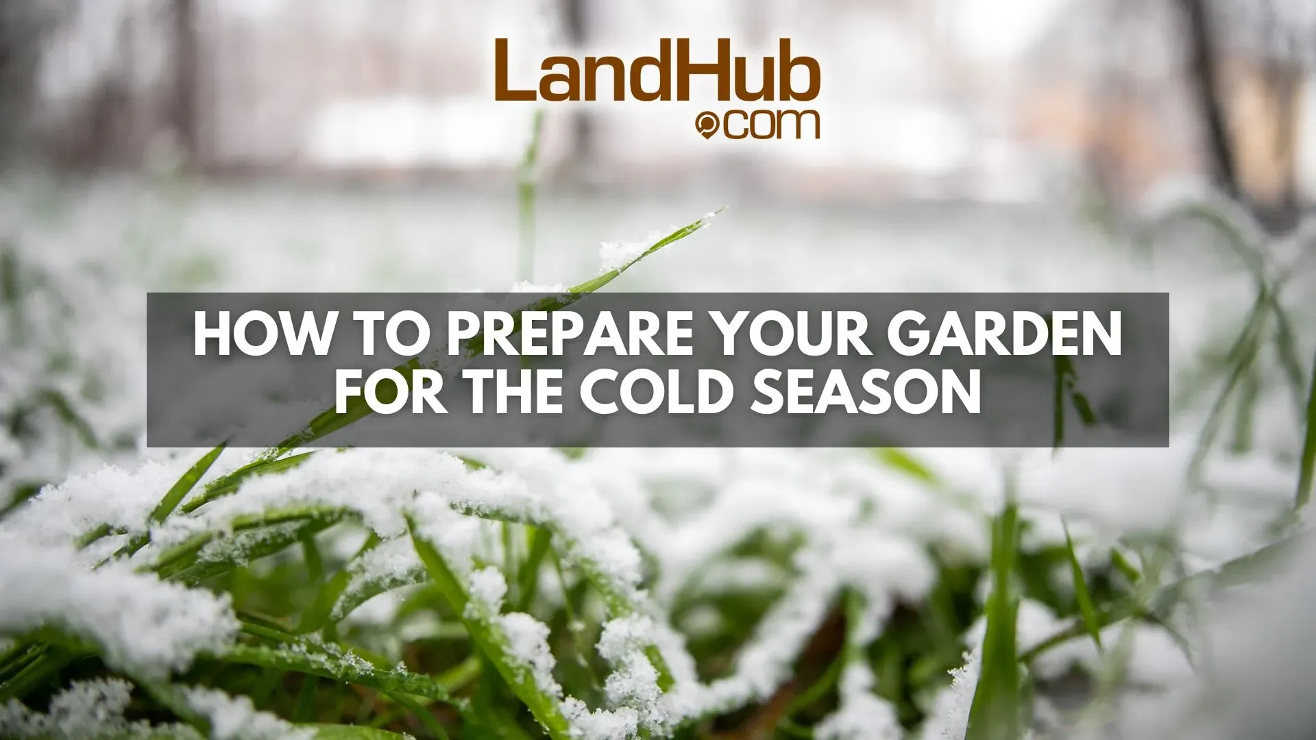 How To Prepare Your Garden for the Cold Season | LandHub
