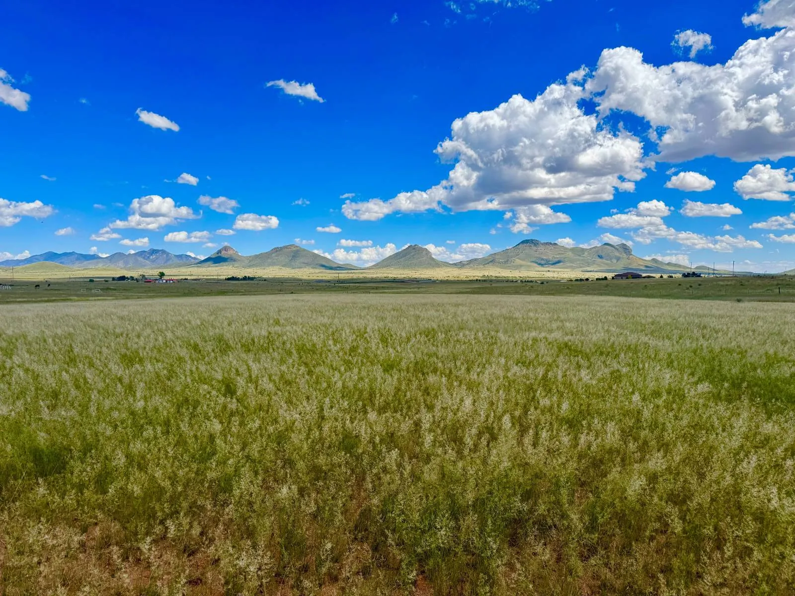 20 AC Near Wineries With Mountain Views In Beautiful Elgin, AZ | LandHub