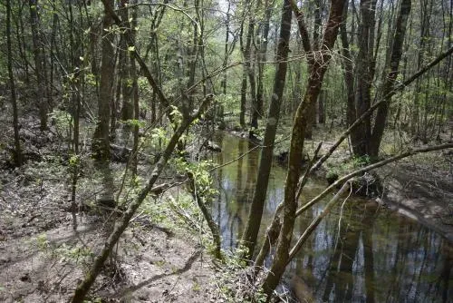 sr-50-1066-acres-3