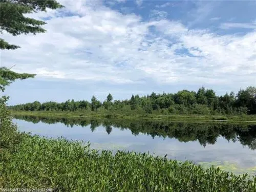 maine-land-for-sale-in-mi-0