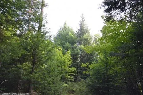 maine-land-for-sale-in-mi-13