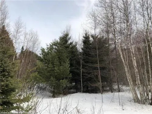 maine-land-for-sale-in-pr-0