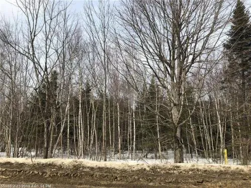 maine-land-for-sale-in-pr-9