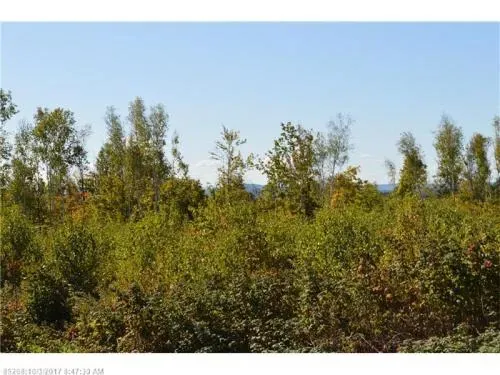 maine-land-for-sale-in-ca-4