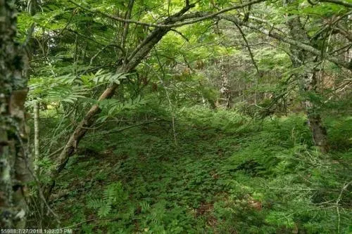 lot-4-1-boot-cove-rd-2