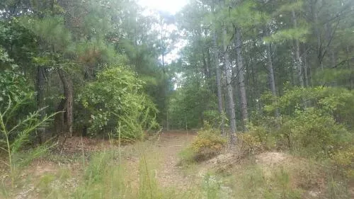 hagans-mountain-rd-meansv-5