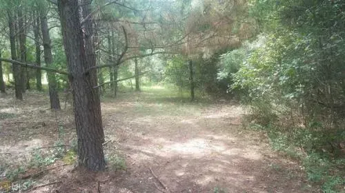 beeks-rd-williamson-ga-3-5