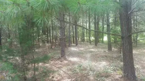 beeks-rd-williamson-ga-3-6