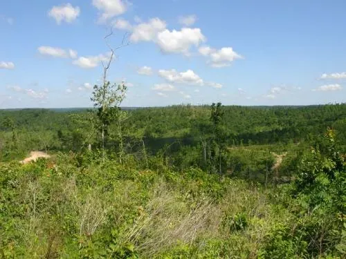 missouri-shannon-county-1