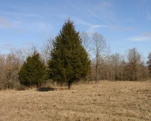 oklahomachoctaw-county1-2