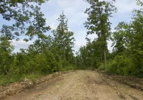 503-acre-thunder-mountai-0