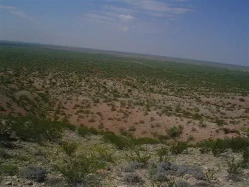 80-acre-ranch-near-pecos-4