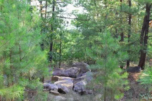 953-acre-trophy-ridge-ii-1