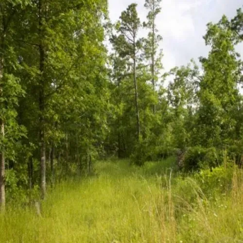 501-acre-thunder-mountai-1
