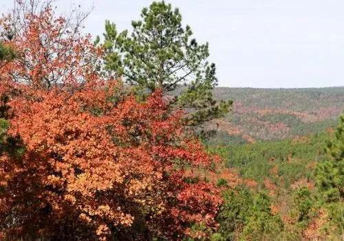 oklahoma-latimer-county-1