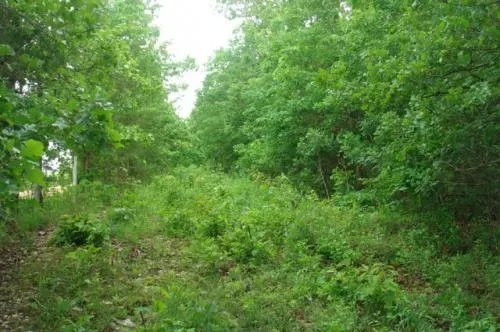 missouri-texas-county-6-1