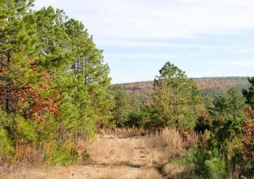 oklahoma-latimer-county-1