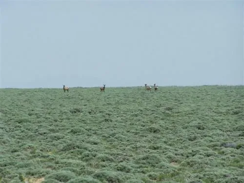 wyoming-sweetwater-count-1