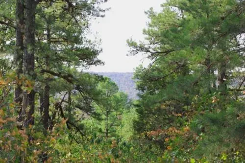 oklahoma-pushmataha-coun-2