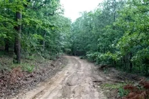 oklahoma-pushmataha-coun-0