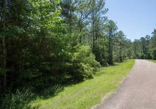 texasjasper-county061-a-1