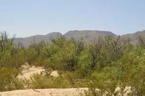 texas-hudspeth-county-2-1