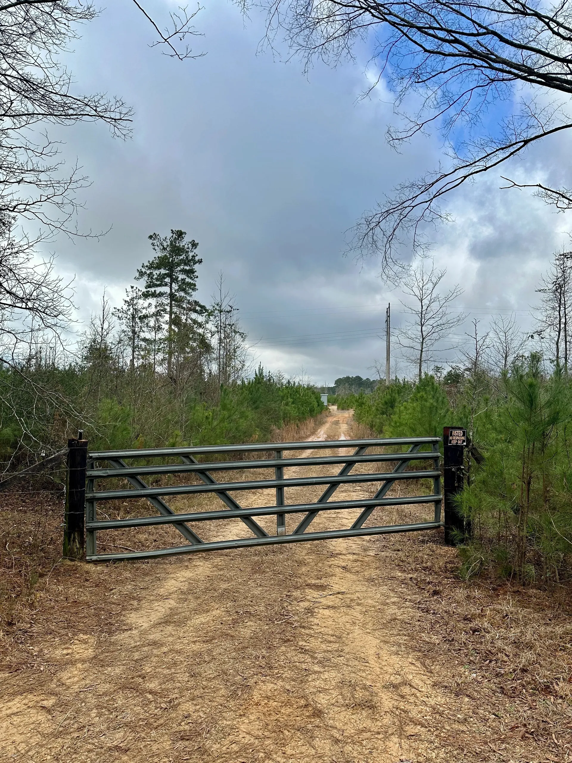 127 Acres In Jasper County, MS | LandHub