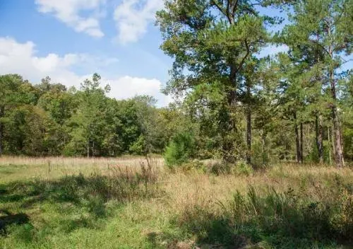 missouri-dent-county-5-1