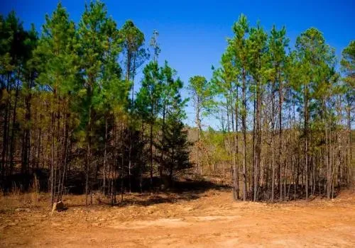 oklahoma-latimer-county-2