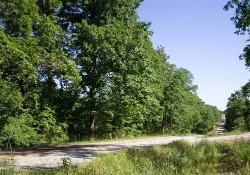 missouri-douglas-county-0