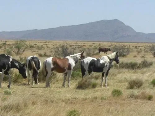 texas-hudspeth-county-2-3