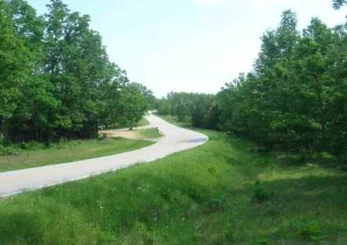 25-off-missouri-dent-c-0