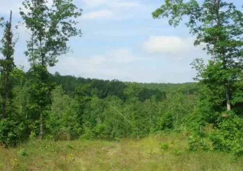 25-off-missouri-dent-c-2