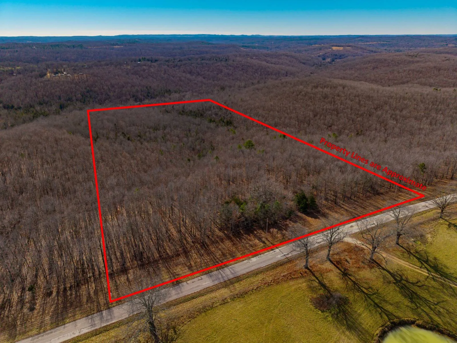 Affordable 16 Acres: Hunting Tract With Build Potential | LandHub