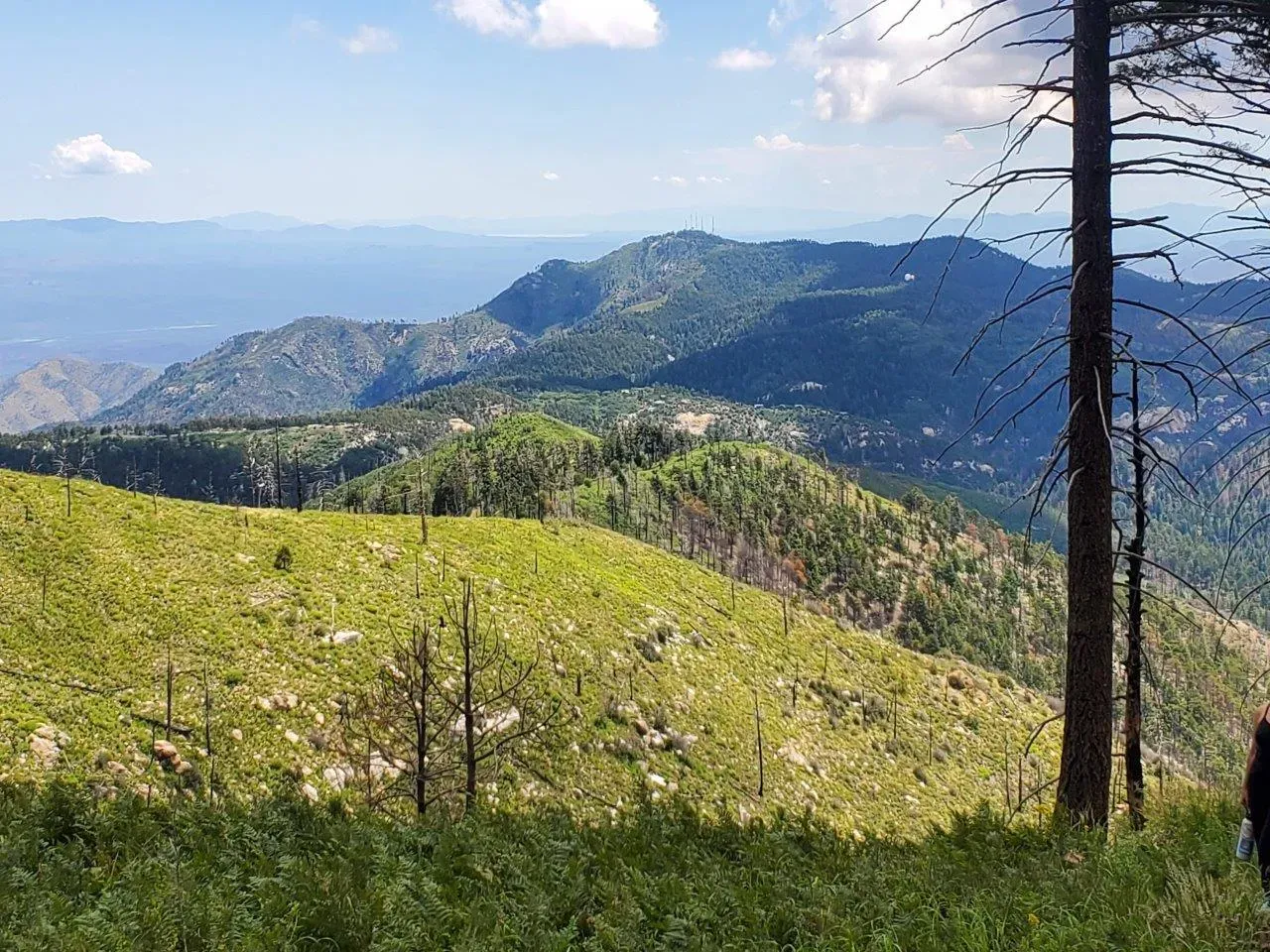 Amazing Opportunity To Own 4 Acres On Top Of Mt. Lemmon Near Ski Valley And Summerhaven LandHub