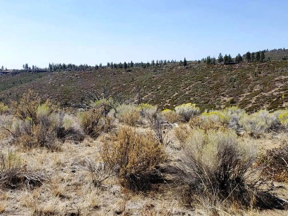 Remote Oregon Remote Oregon Wilderness. On Mesa Near The Rim | LandHub