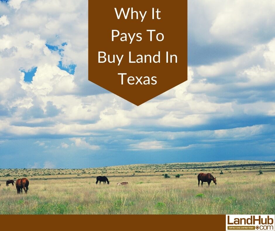 Texas Land For Sale  LandHub